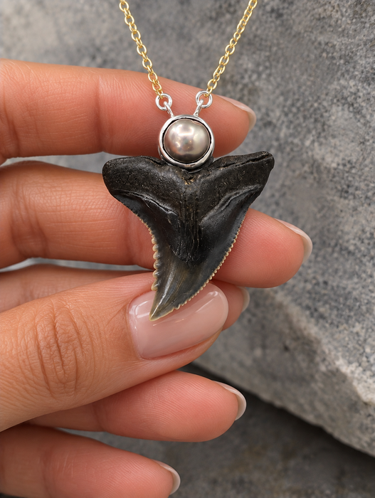 Pearl Shark Tooth Necklaces