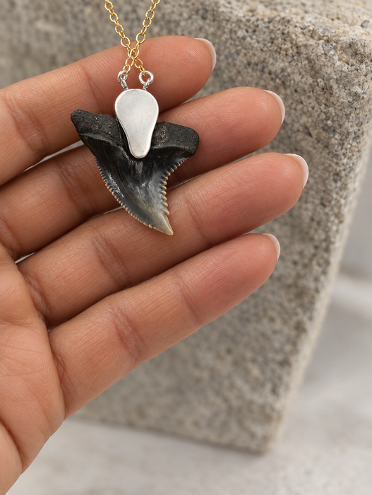 Pearl Shark Tooth Necklaces