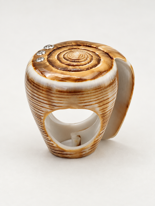 Shell Rings