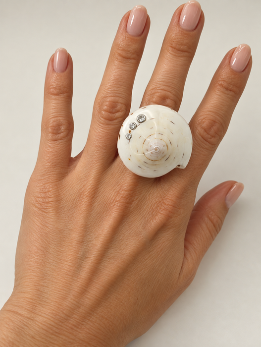 Shell Rings
