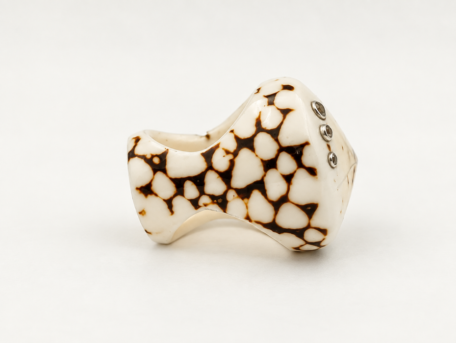 Shell Rings