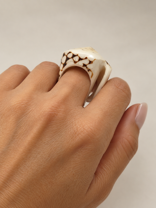 Shell Rings