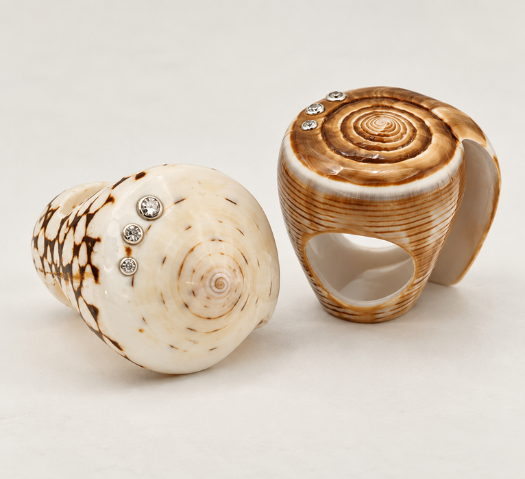 Shell Rings