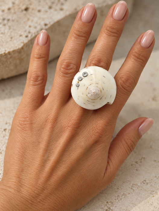 Shell Rings