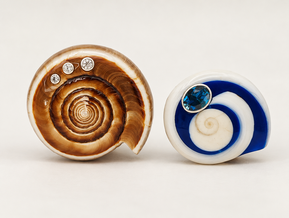 Shell Rings