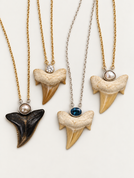 Stone Shark Tooth Necklaces