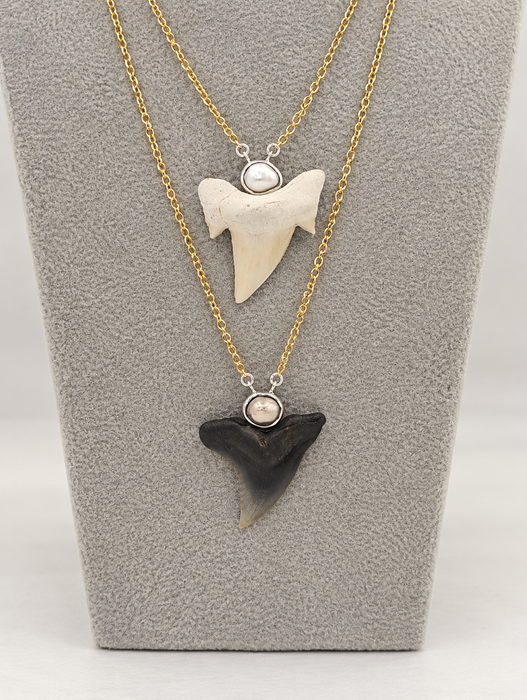 Pearl Shark Tooth Necklaces