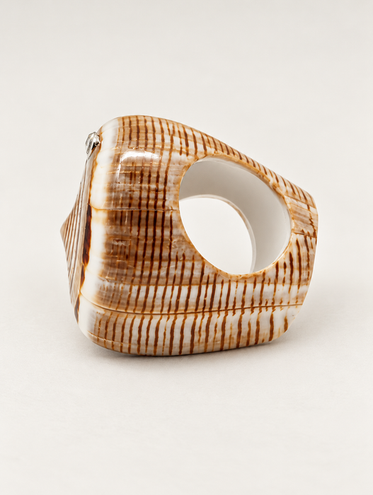 Shell Rings