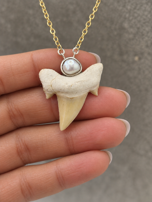 Pearl Shark Tooth Necklaces