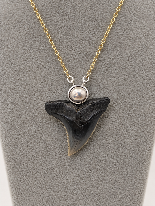 Pearl Shark Tooth Necklaces