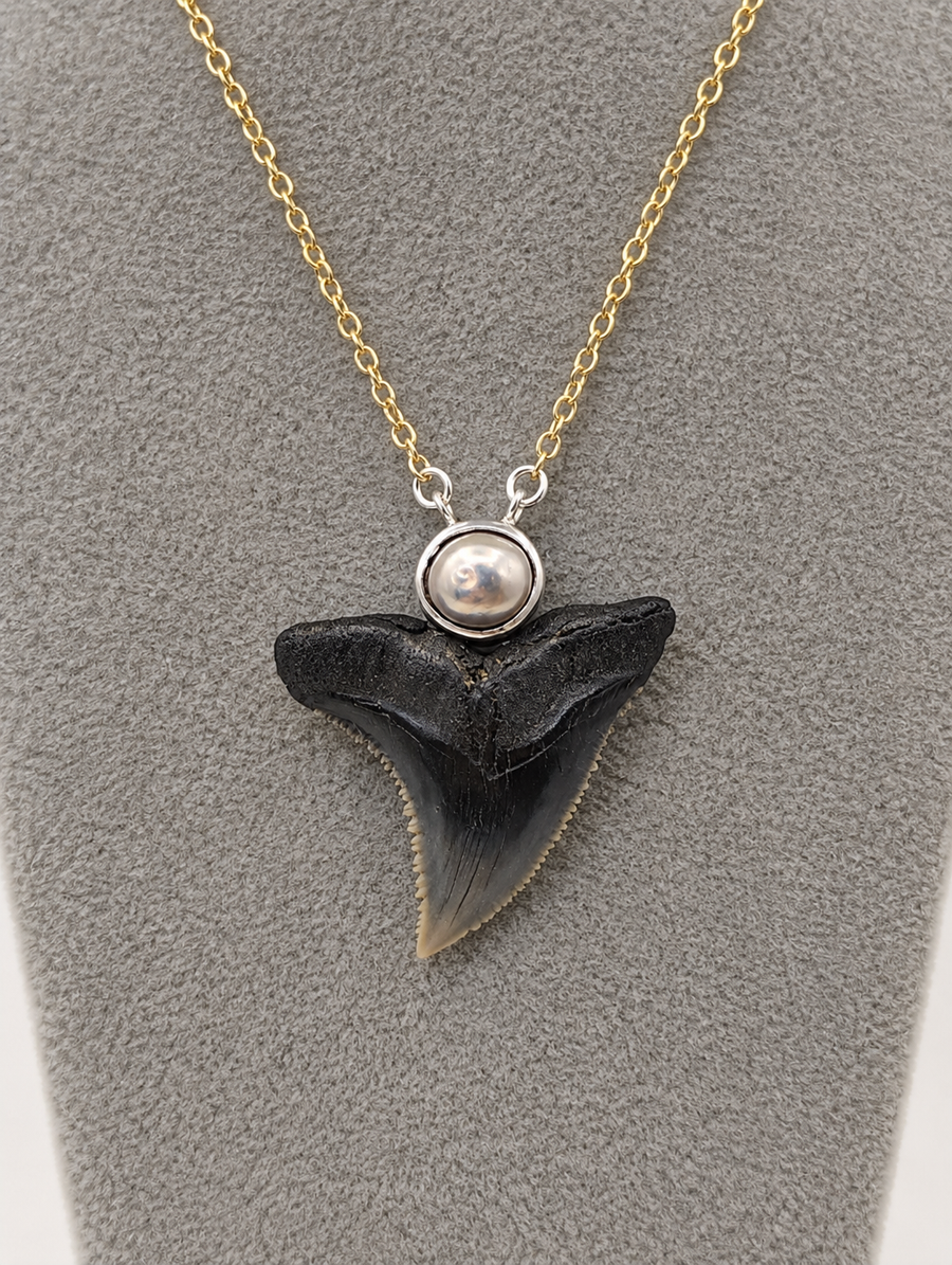 Pearl Shark Tooth Necklaces