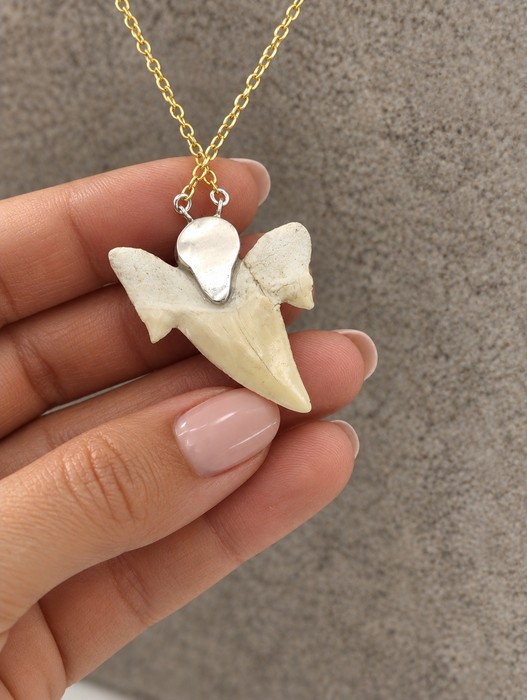 Pearl Shark Tooth Necklaces