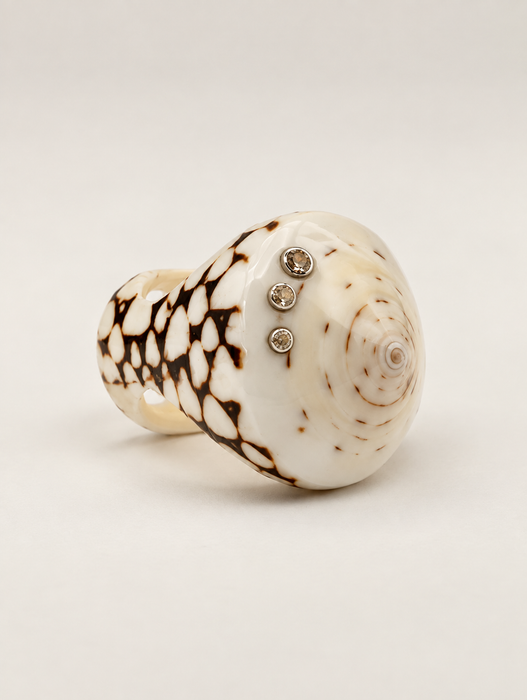 Shell Rings
