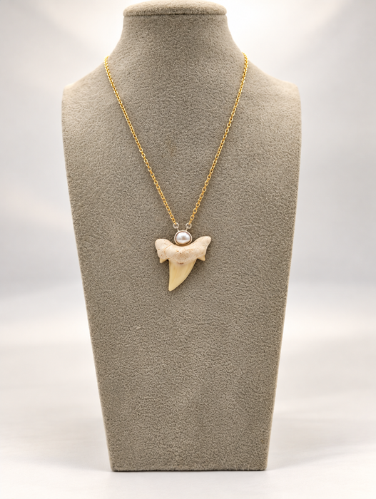 Pearl Shark Tooth Necklaces