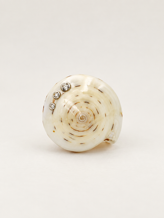 Shell Rings