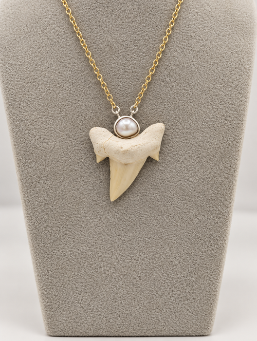 Pearl Shark Tooth Necklaces