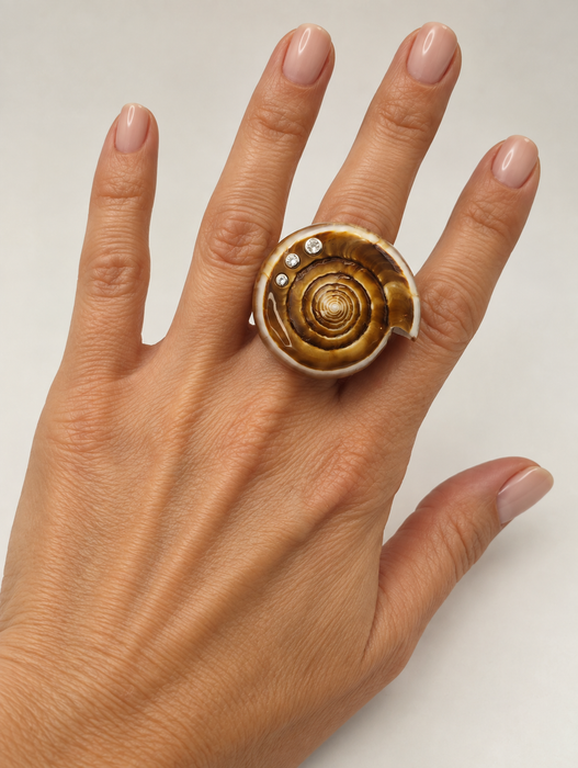 Shell Rings