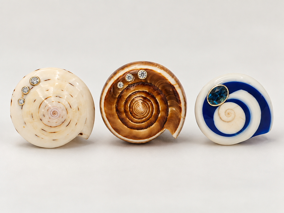 Shell Rings
