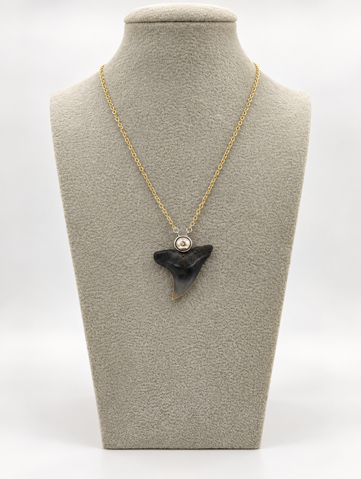 Pearl Shark Tooth Necklaces