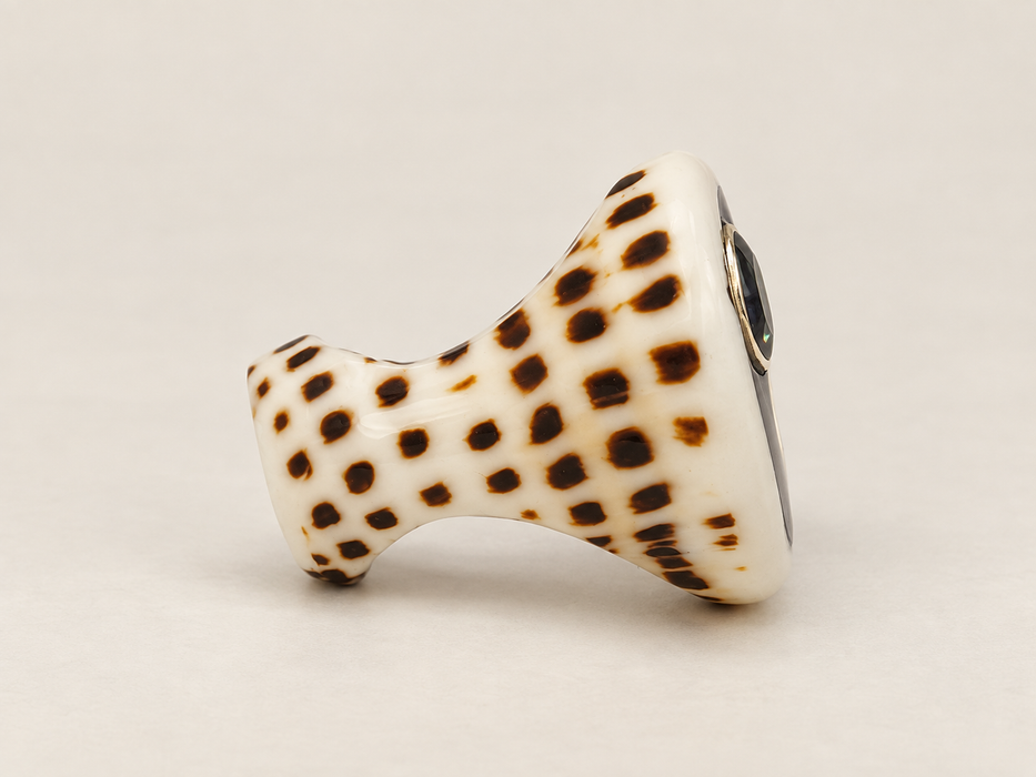 Shell Rings