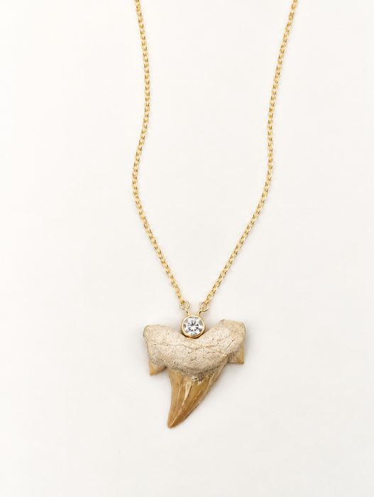 Stone Shark Tooth Necklaces